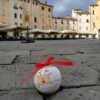Pallina Rudolph