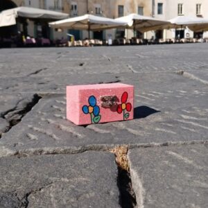 Cofanetto Andrea
