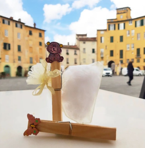 Molletta teddy