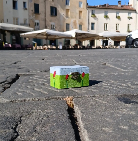 cofanetto andrea fiori lucca solidale