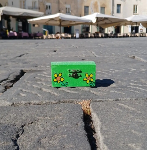 girasoli cose e persone lucca piazza anfiteatro